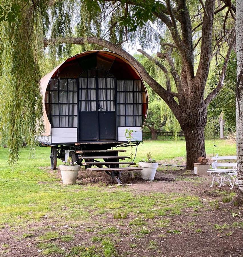 Don Aniceto Lodges & Glamping Lujan  Ngoại thất bức ảnh