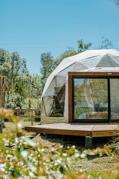 Don Aniceto Lodges & Glamping Lujan  Ngoại thất bức ảnh